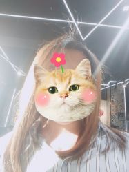 -無名发艺