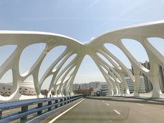 -星光岛