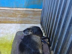 -多彩贵州城极地海洋世界