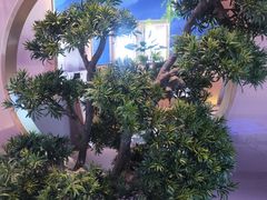-马家斑.鲜鱼火锅(松湖万科店)