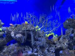 -成都浩海立方海洋公园