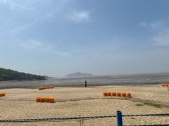 -花岙岛