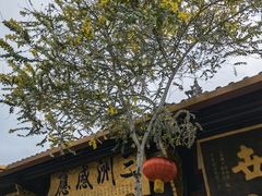 -盘飧市(春熙路店)