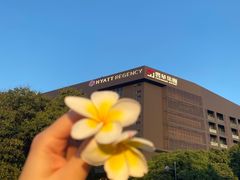 -松山湖凯悦酒店·Café自助餐厅·周末火舞秀表演