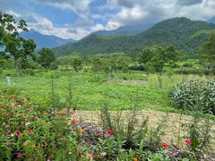 -罗田大别山峡谷漂流