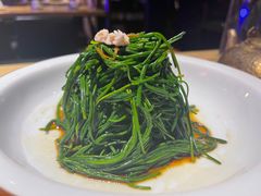 -蒙料·手把肉(望京店)