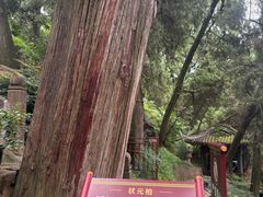-七曲山风景区