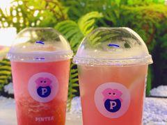 -PINTEA LAB(北京路店)