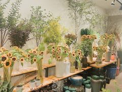 -双季花艺园艺市场(浦东店)