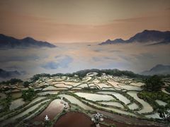 -中国湿地博物馆