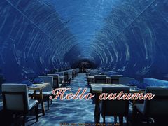-涛·海底餐厅·美人鱼·自助餐·海底隧道(三亚海棠湾洲际度假酒店)