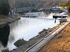 -大兴滨河森林公园