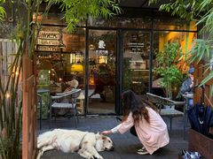 -咖法森林·咖啡  酒吧(天河店)