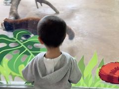 -海合安武汉极地海洋公园