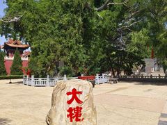 -大槐树寻根祭祖园