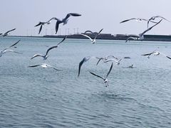 -星海广场