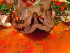 -坛宗剁椒鱼头(河西王府井店)