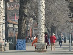-哈尔滨极乐寺