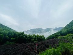 -四明山国家森林公园