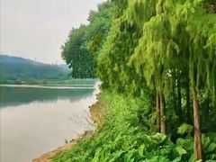 -白云湖畔酒店-湖畔餐厅