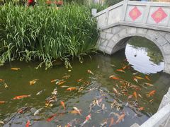 -海州古城
