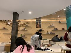 -飞行喵MR PILOT|猫舍·猫咖(静安大融城店)