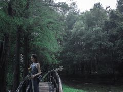 -东湖落雁景区