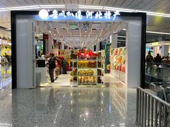 -石家庄正定国际机场-T2航站楼