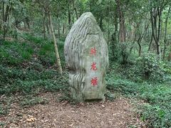 -上海佘山国家森林公园天马山园