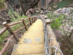 -广州白江湖森林公园