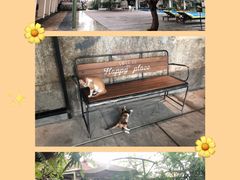 -喜洲吧·江畔老船厂·庭院餐厅(喜临院店)