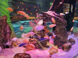 -酷嗒动物文化乐园(cutezoo西溪乐天城店)