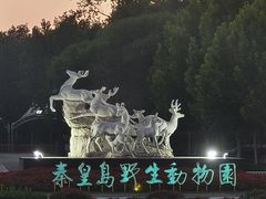 -秦皇岛野生动物园