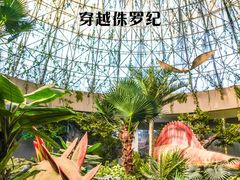 -西峡恐龙遗迹园