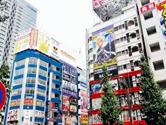 -秋叶原电器街
