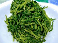 养生枸杞苗-老毛手抓·盐池滩羊非遗手抓(宁夏总店)