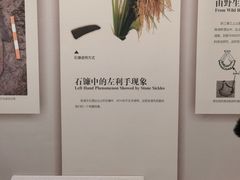 -良渚博物院