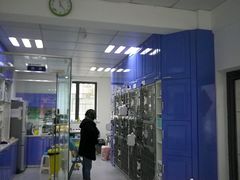 -睿金宠物医院·CT·肿瘤·骨外科