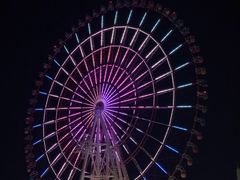 -台场海滨公园船码头