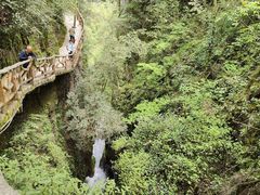 -鹿院坪生态旅游景区