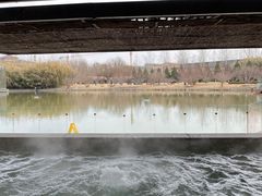 -春晖园度假酒店温泉