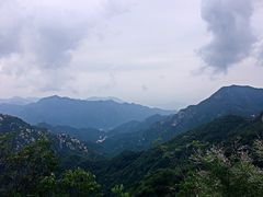 -大岭沟猕猴桃谷风景区