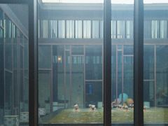 -上海崇明金茂凯悦酒店