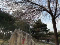 -丰台花园