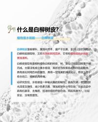 点击看大图 -玛莲朵·海菲秀冰珀科