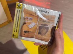-浣熊唱片店(上海影城店)