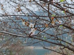 -广州市流溪河国家森林公园