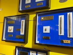 -上海昆虫博物馆