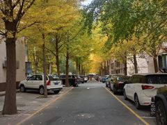 -北京市垂杨柳医院