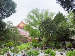 -北京市劳动人民文化宫(太庙)